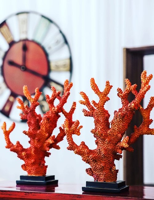 Corals Orange