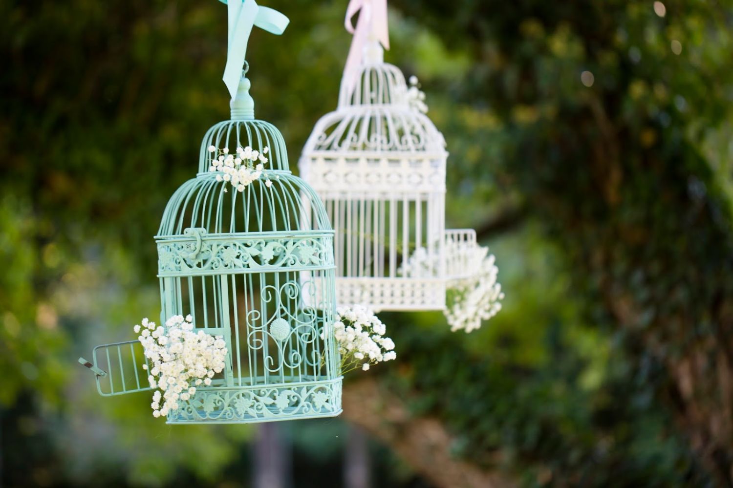Birdcages